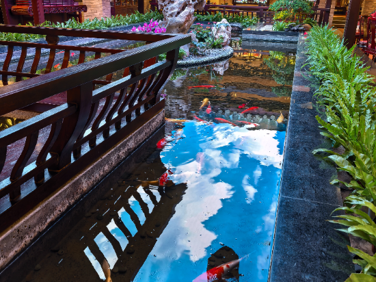 廣州白天鵝賓館優惠