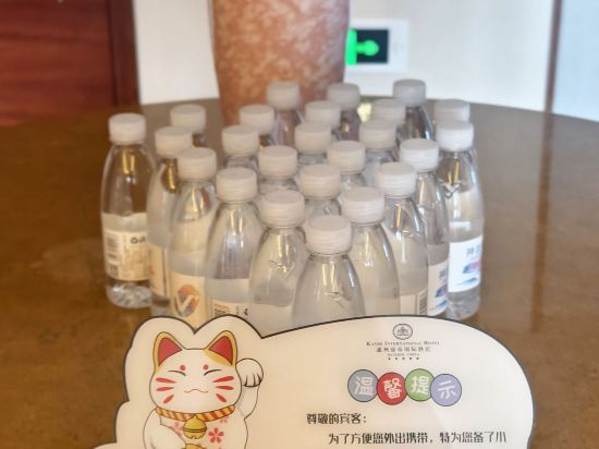 惠州康帝國際酒店優惠