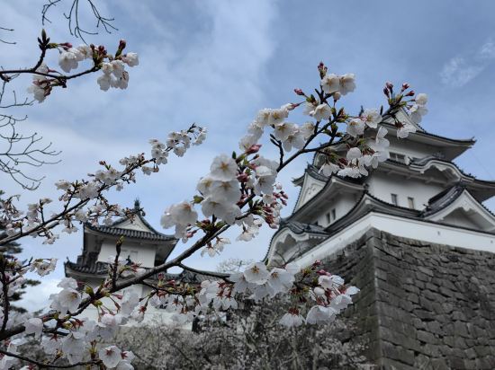 天然温泉　癒しの宿　ヒルホテル　サンピア伊賀 クーポン
