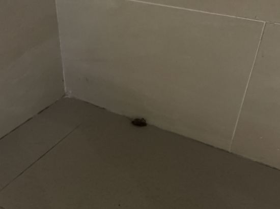 台東綺麗渡假村優惠