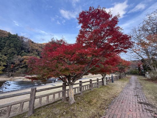 伊東園ホテル塩原 クーポン
