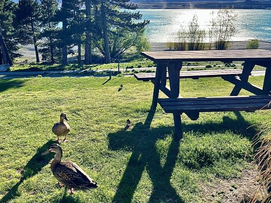 特卡波湖汽車旅館和假日公園優惠