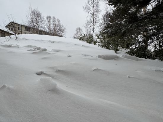 万座温泉 日進舘 クーポン