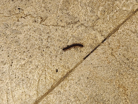 諾偉司吉里度假酒店及水療中心優惠