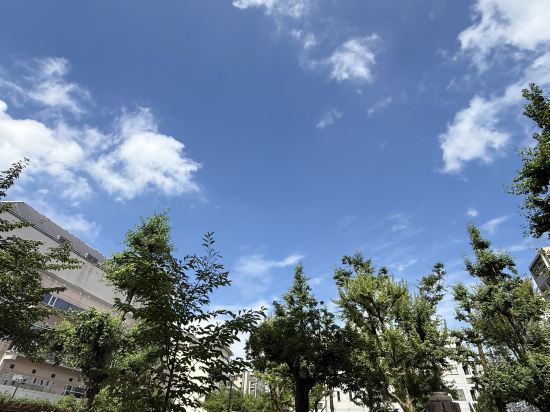 パークホテル京都御池 クーポン