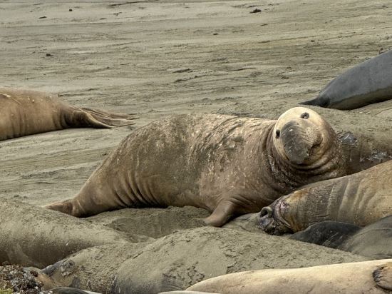 聖西蒙摩根酒店優惠