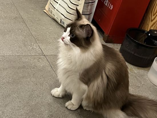 如眠客青年旅舍（上海靜安寺店）優惠