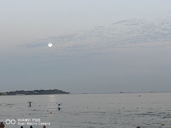 青海白雲翔羚飯店優惠