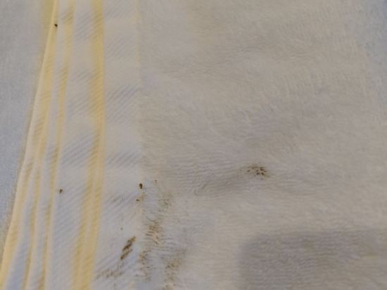 維也納國際酒店（肇慶中心湖景店）優惠