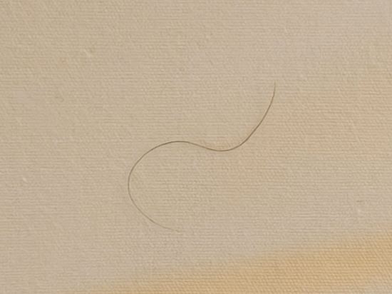 台北第一大飯店優惠