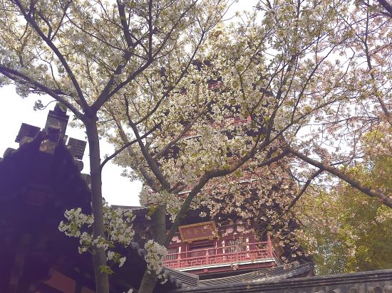 大連虹港大飯店優惠