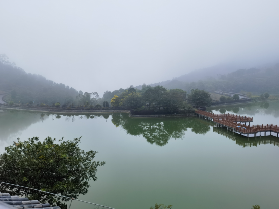 新興翔順象窩飯店優惠