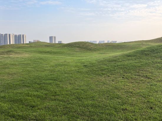 佛山羅浮宮索菲特酒店優惠
