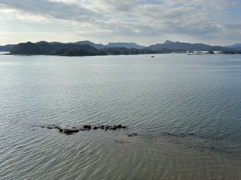 小松屋渚館 クーポン