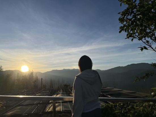 阿里山初日民宿優惠