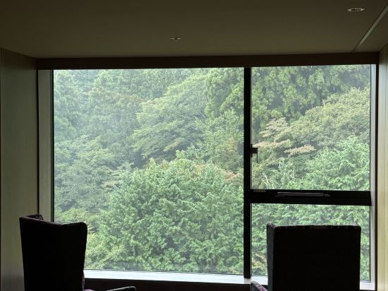 箱根小湧園天悠旅館優惠