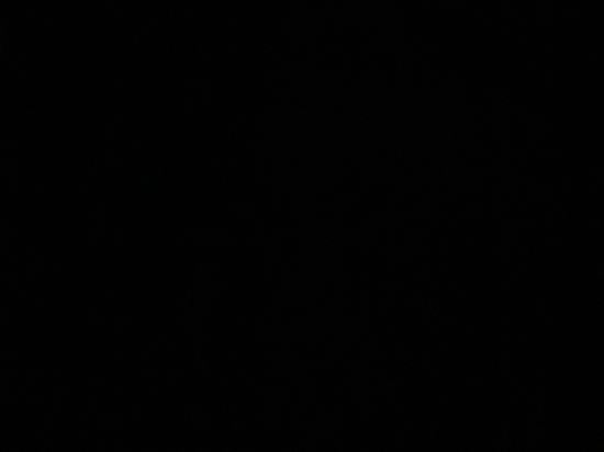 聖淘沙豪華酒店優惠