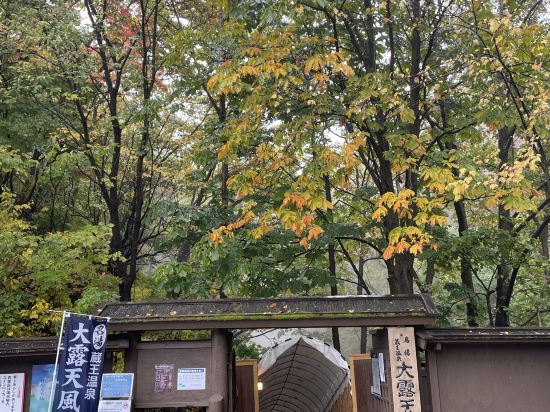 山形站前里士滿飯店優惠