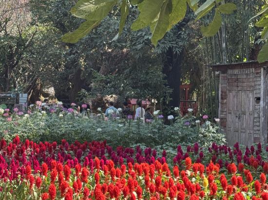 金邊愛米昂酒店優惠