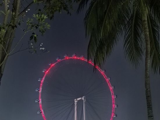新加坡卡爾登酒店 （Staycation Approved）優惠