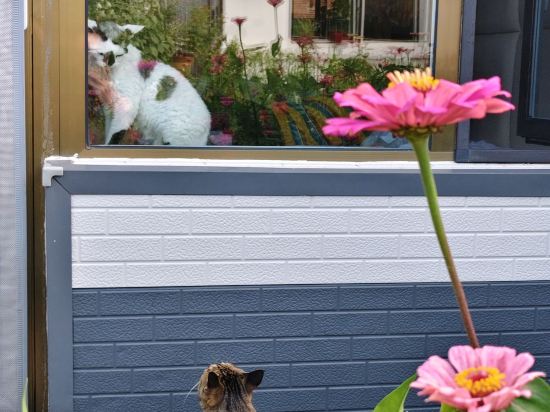 多倫吉嘉賓館優惠