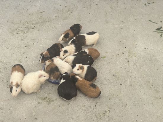 清遠恆大酒店優惠