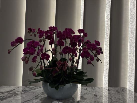 深圳同泰萬怡酒店優惠