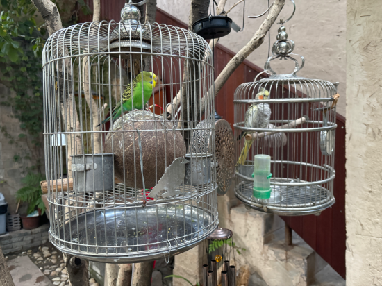 上海朱家角雅韻居客棧優惠