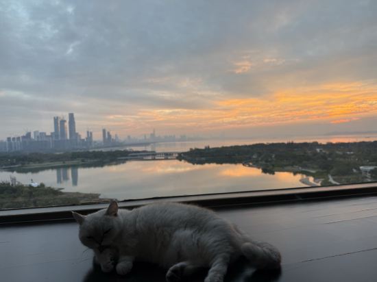 希爾頓倫敦肯辛頓飯店優惠