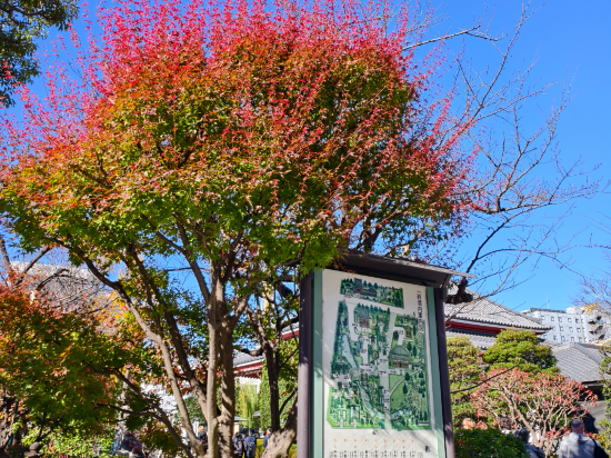 MYSTAYS 淺草橋酒店優惠