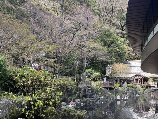 箱根湯本温泉 天成園 クーポン