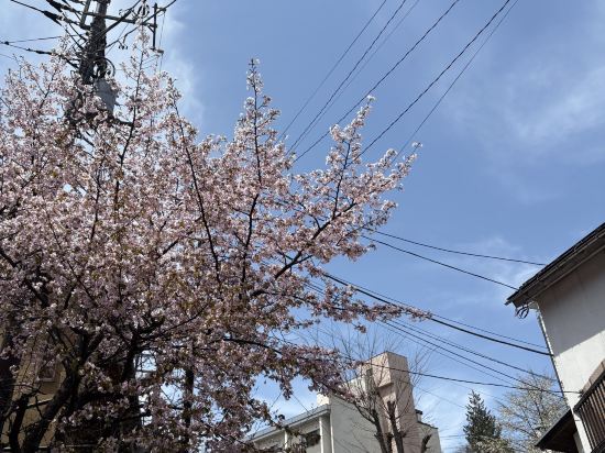 草津温泉ホテルヴィレッジ クーポン