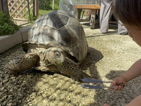 フサキビーチリゾート ホテル＆ヴィラズ クーポン