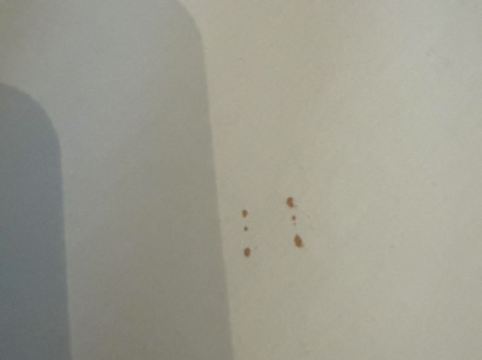 吉隆坡東家酒店公寓優惠