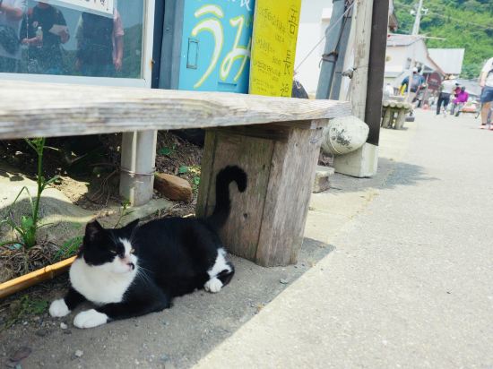 八百治博多ホテル クーポン