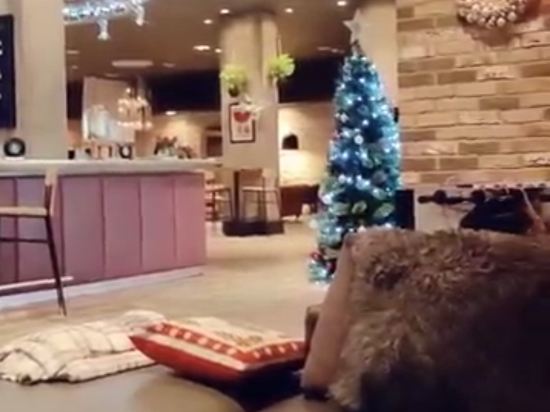 瑞丁貝爾特酒店優惠