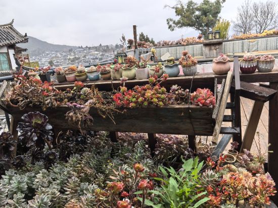 麗江晏域設計師度假酒店優惠