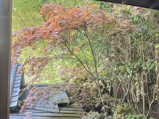 山荘天水 クーポン