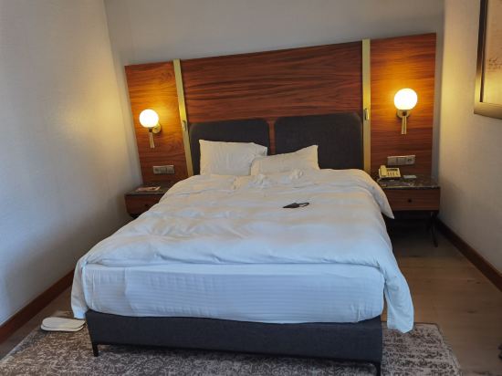 第比利斯宮殿酒店優惠