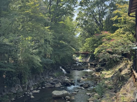 伊豆修善寺溫泉飯店-滝亭優惠
