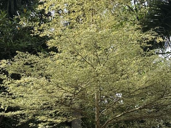 雲南琢舍酒店優惠