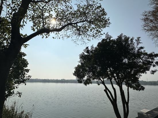 中信泰富朱家角錦江飯店優惠