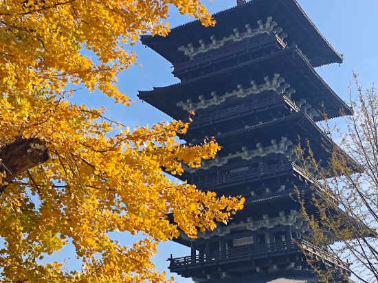 長興開元名都大酒店優惠