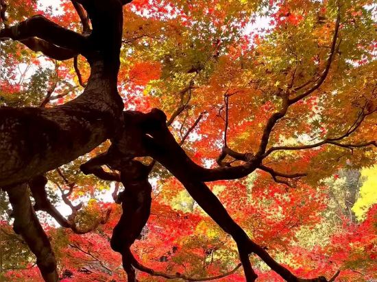 杭州西湖武林廣場蘭歐國際飯店優惠