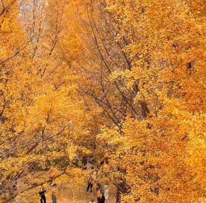 杭州西湖武林廣場蘭歐國際飯店優惠