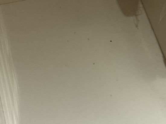 波德申貴賓酒店優惠