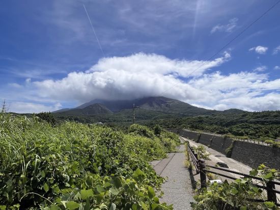 ホテル・レクストン鹿児島 クーポン