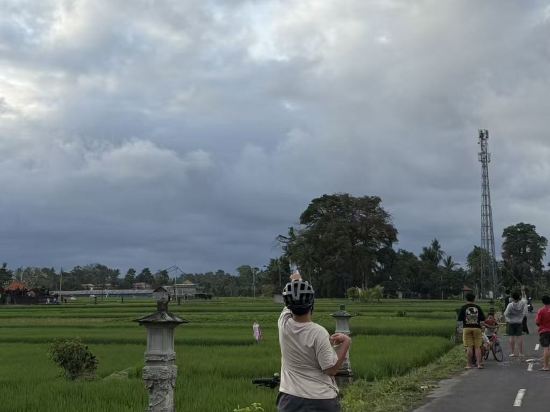 威斯汀烏布度假村及水療中心優惠