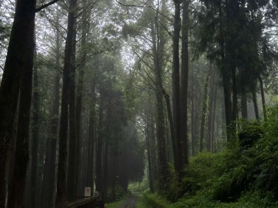 嘉義阿里山櫻山大飯店優惠