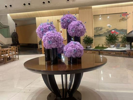 杭州蕭山國際機場雷迪森飯店優惠